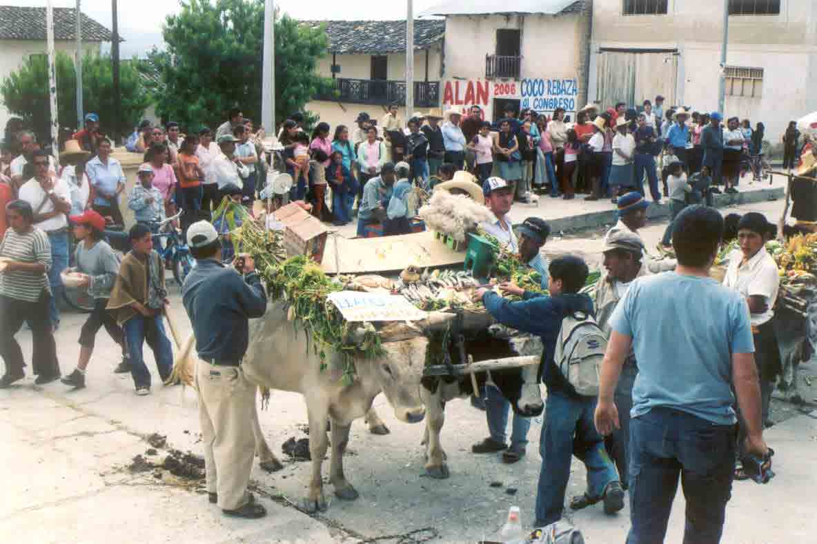 Yunta adornada con productos agr�colas en horno a San isidro labrador.