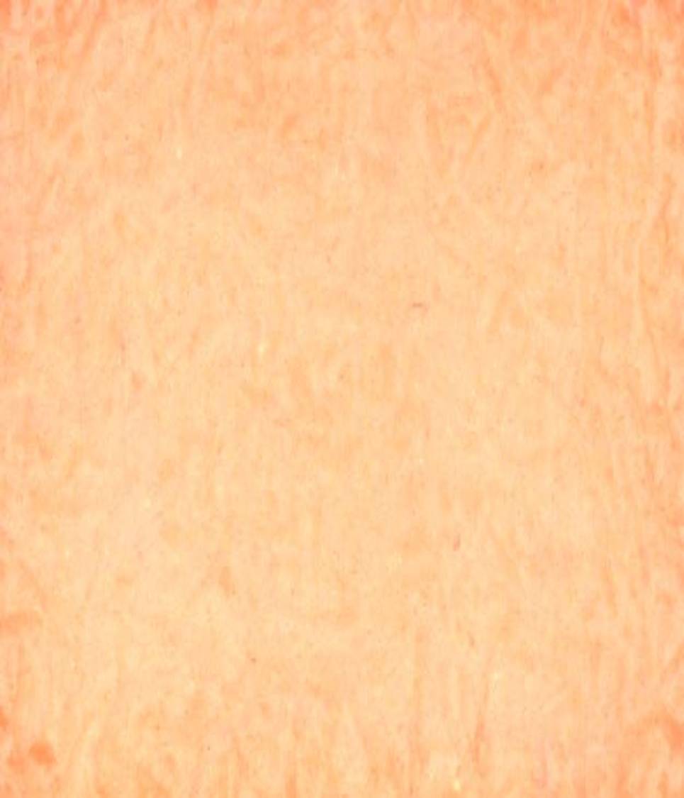 Descripci�n: http://static.freepik.com/foto-gratis/textura-de-papel_21317757.jpg