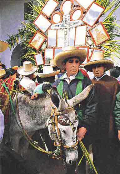 La "Se�orca" es la burrita que tiene por misi�n s�lo conducir a nuestro Se�or Jesucristo en la Procesi�n del Domingo de Ramos.